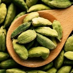 whatsapp image 2025 12 14 at 09.47.59