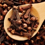 whatsapp image 2025 12 14 at 09.48.00