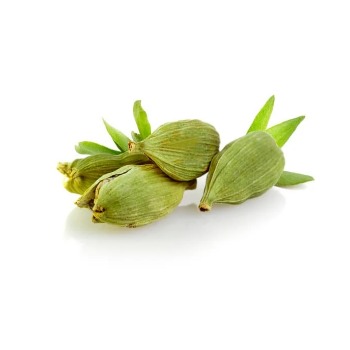 whatsapp image 2025 12 14 at 10.07.16