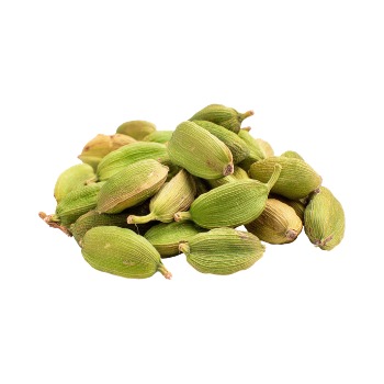 whatsapp image 2025 12 14 at 10.07.17