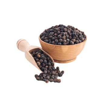 whatsapp image 2026 01 15 at 8.55.44 pm