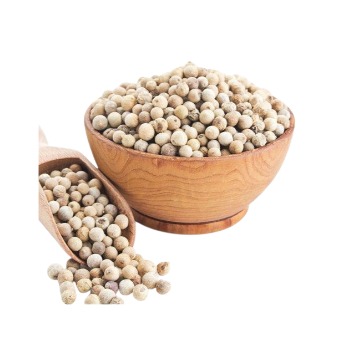 whatsapp image 2026 01 15 at 8.55.45 pm (1)