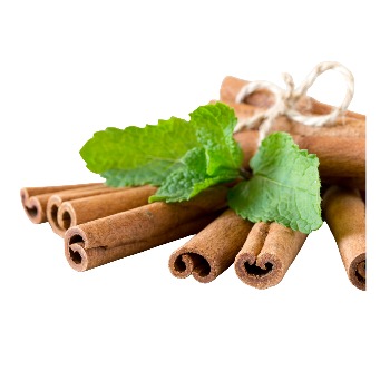 whatsapp image 2026 01 15 at 8.55.46 pm (1)