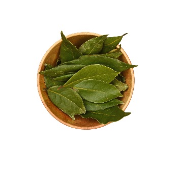 whatsapp image 2026 01 15 at 8.55.46 pm (2)