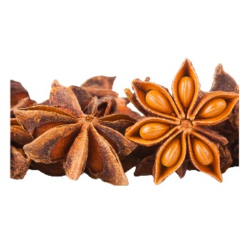 whatsapp image 2026 01 15 at 8.55.46 pm