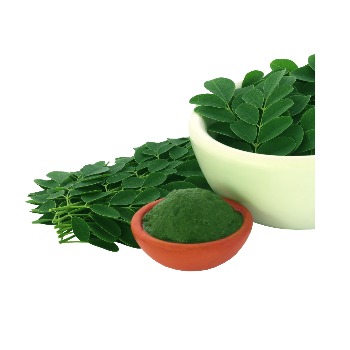 whatsapp image 2026 01 15 at 8.55.47 pm (2)