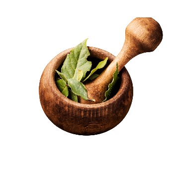 whatsapp image 2026 01 15 at 8.55.47 pm