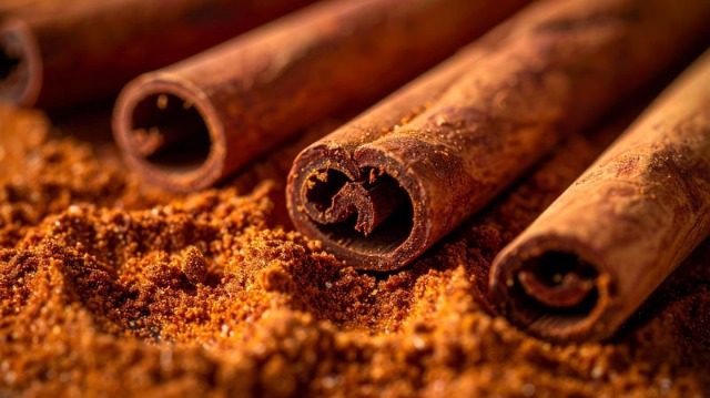 whatsapp image 2026 02 16 at 19.56.34